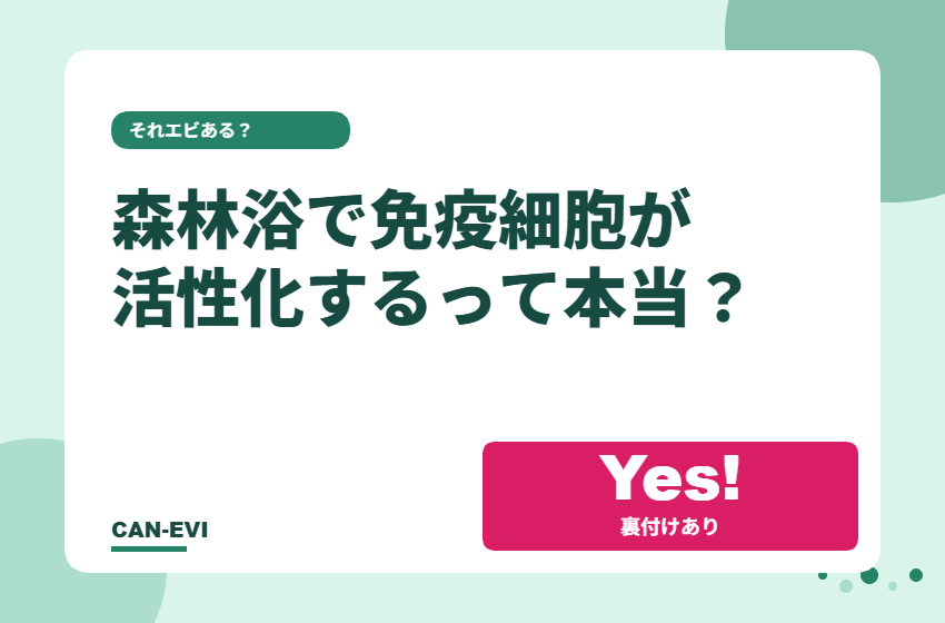 森林浴で『免疫細胞が活性化する』って本当?